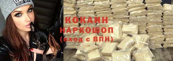 спиды Абаза