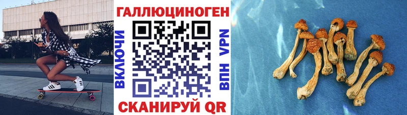 Галлюциногенные грибы MAGIC MUSHROOMS  Зеленокумск 